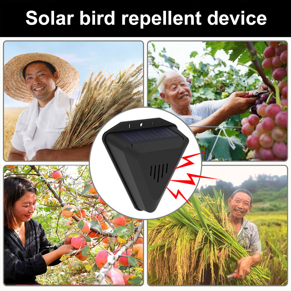 13가지 사운드가 있는 태양열 조류 퇴치기, 태양열 동 - Solar Panel Monocrystalline 리뷰 및 가격